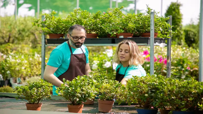 Home Advice Decadgarden