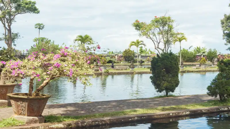 decadgarden: A Simple Guide to Sustainable, Beautiful Home Gardening