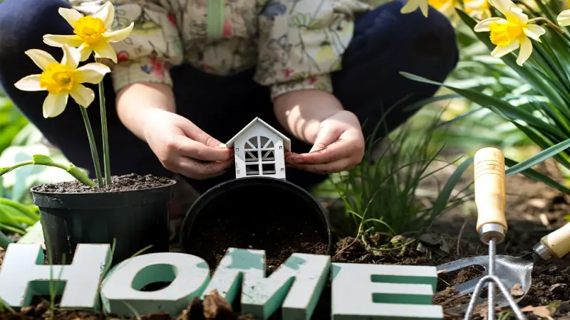 Home Advice Decadgarden: A Practical Guide to Stylish and Functional Home & Outdoor Living