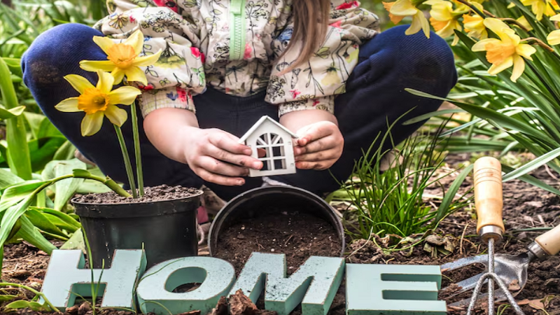 decoradhouse garden tips by decoratoradvice